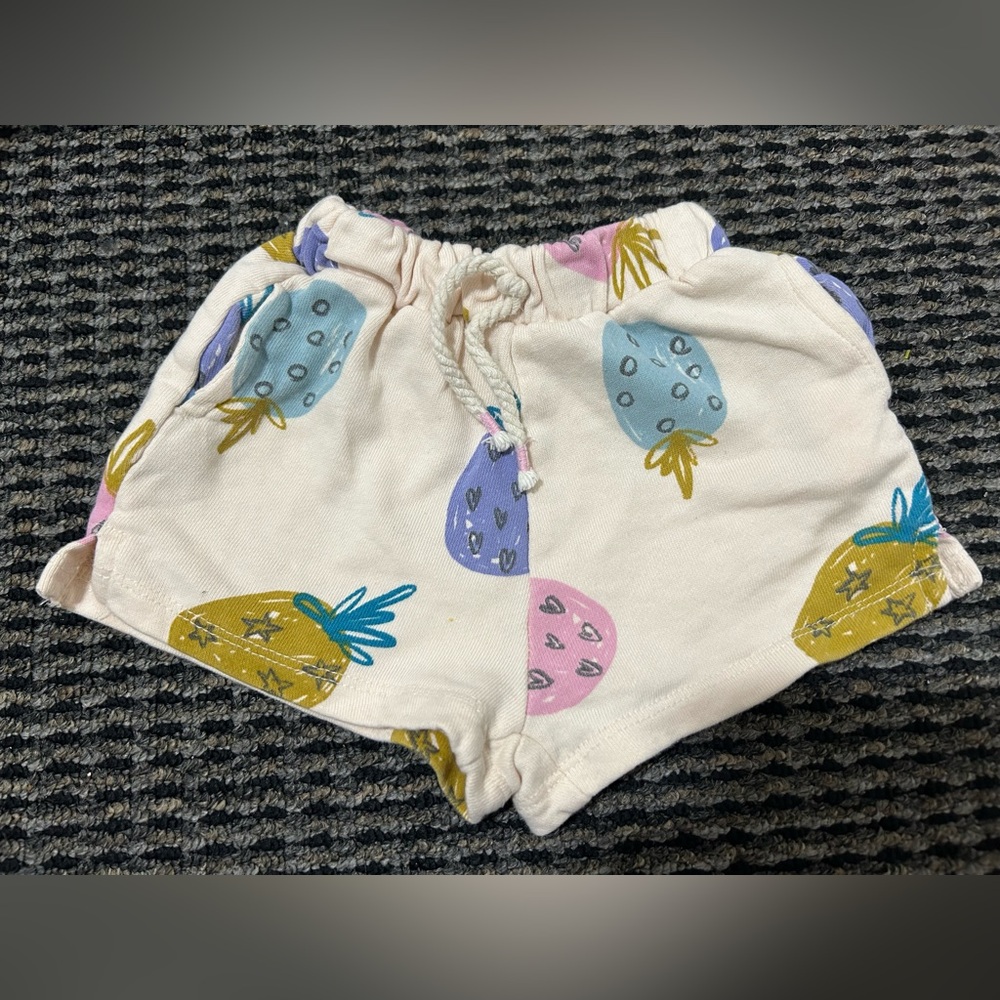 Zara Shorts